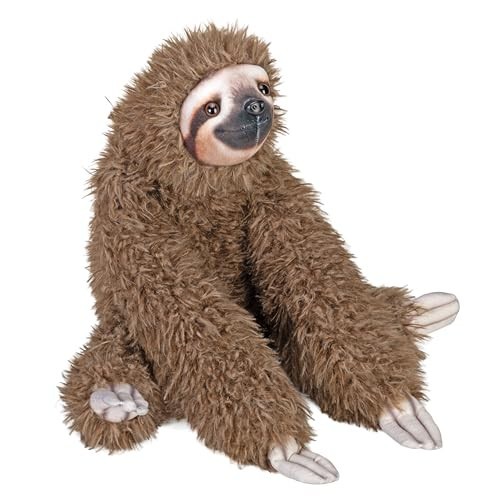 Artist collection sloth - collection,